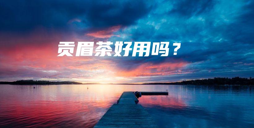 贡眉茶好用吗？插图