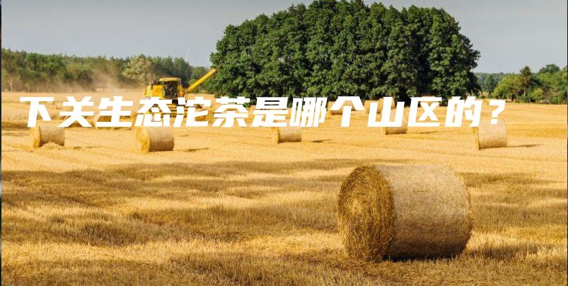 下关生态沱茶是哪个山区的？插图