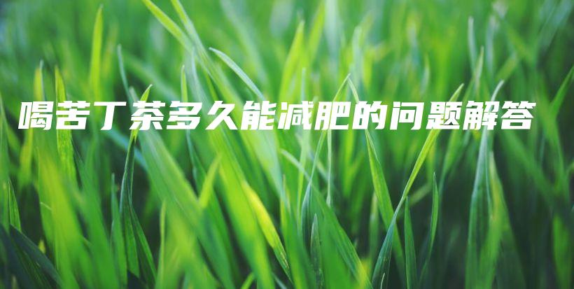 喝苦丁茶多久能减肥的问题解答插图 喝苦丁茶多久能减肥的问题解答插图