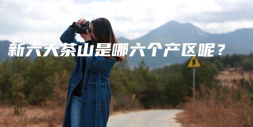新六大茶山是哪六个产区呢？插图