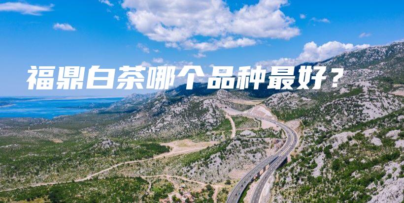 福鼎白茶哪个品种最好？插图