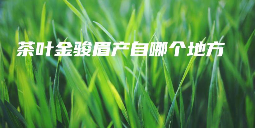 茶叶金骏眉产自哪个地方插图 茶叶金骏眉产自哪个地方插图
