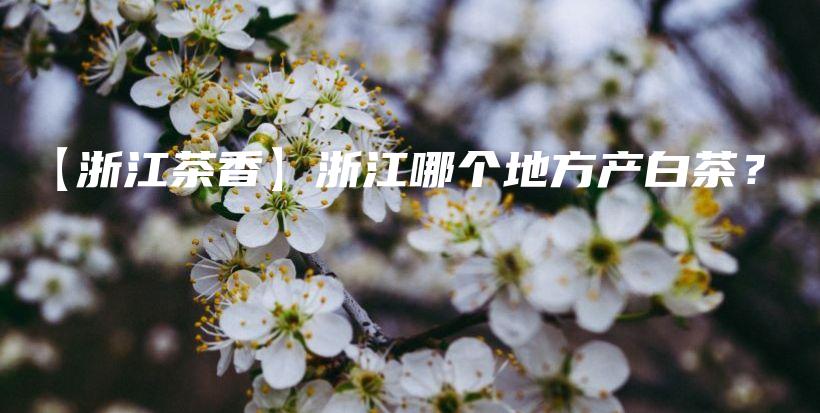 【浙江茶香】浙江哪个地方产白茶？插图