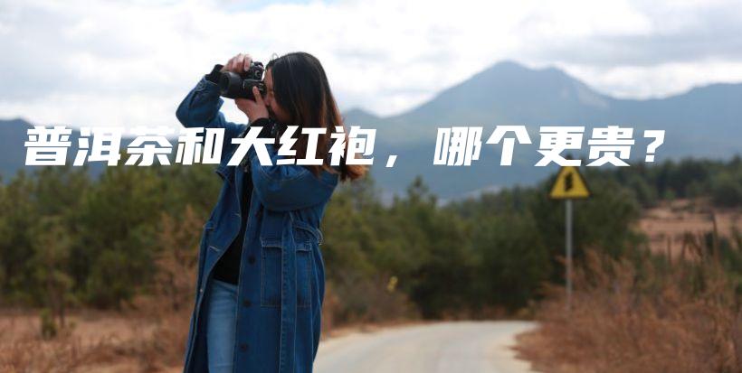 普洱茶和大红袍，哪个更贵？插图