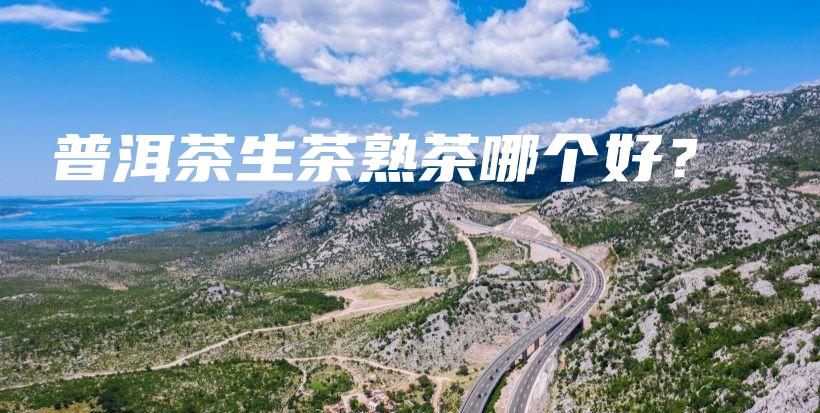 普洱茶生茶熟茶哪个好？插图