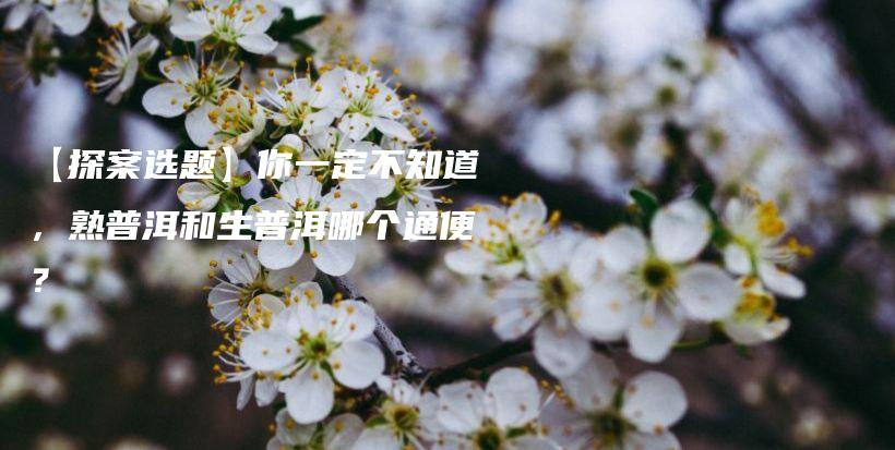 【探案选题】你一定不知道，熟普洱和生普洱哪个通便？插图