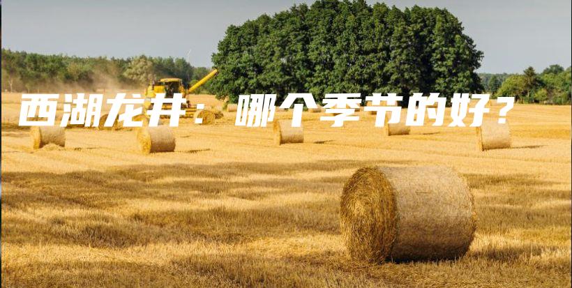 西湖龙井：哪个季节的好？插图