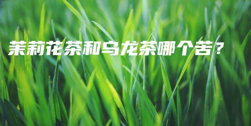 茉莉花茶和乌龙茶哪个苦？插图