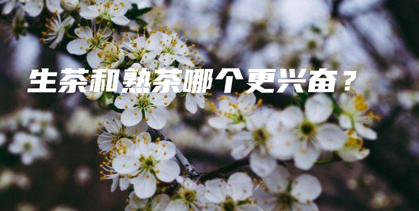 生茶和熟茶哪个更兴奋？插图