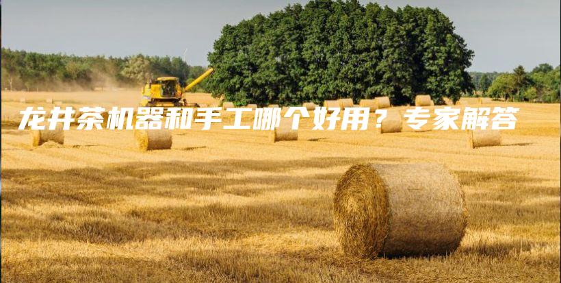 龙井茶机器和手工哪个好用？专家解答插图