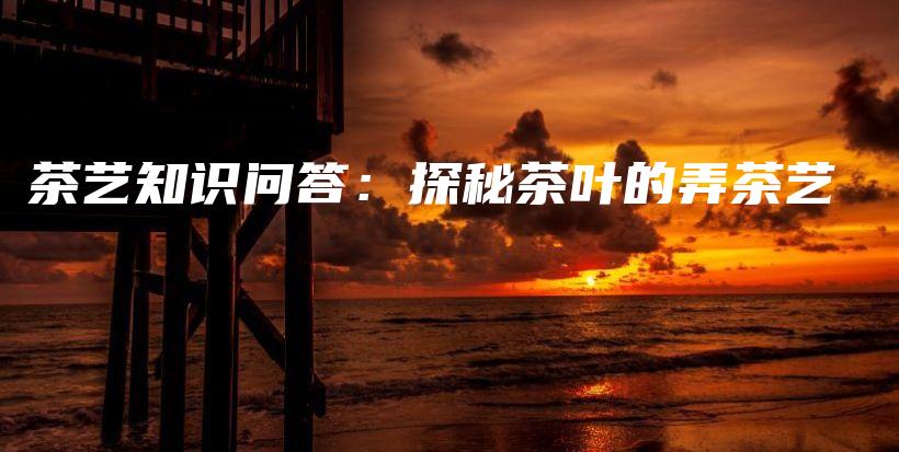 茶艺知识问答：探秘茶叶的弄茶艺插图
