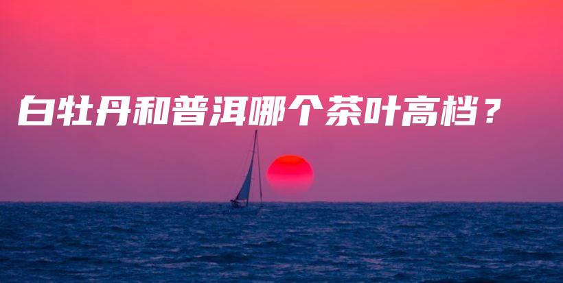 白牡丹和普洱哪个茶叶高档？插图