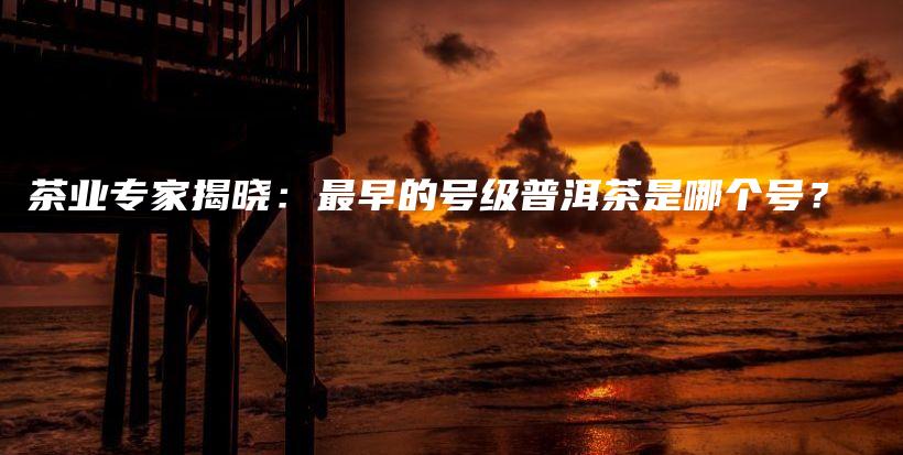 茶业专家揭晓：最早的号级普洱茶是哪个号？插图