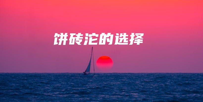 饼砖沱的选择插图