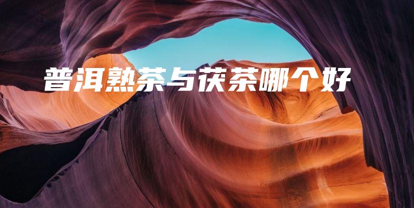 普洱熟茶与茯茶哪个好插图