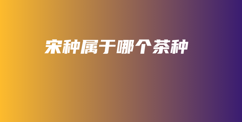 宋种属于哪个茶种插图