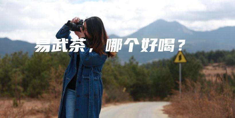 易武茶，哪个好喝？插图