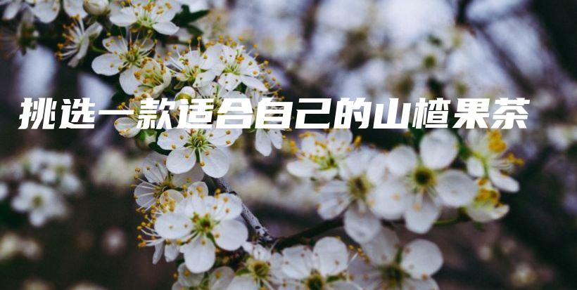 挑选一款适合自己的山楂果茶插图