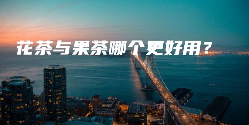 花茶与果茶哪个更好用？插图