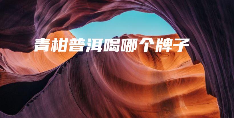 青柑普洱喝哪个牌子插图