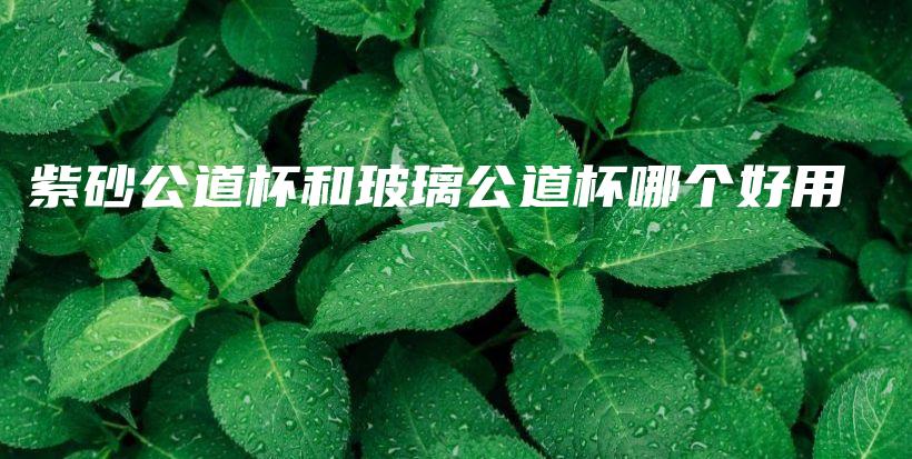 紫砂公道杯和玻璃公道杯哪个好用插图