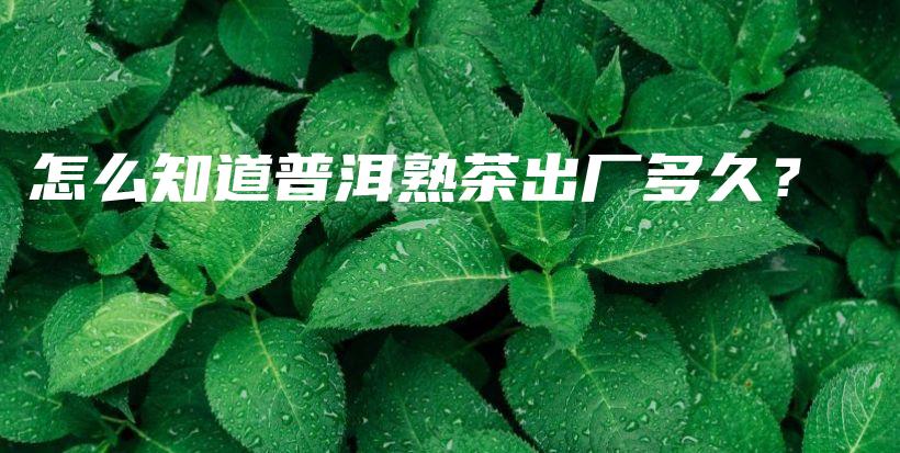 怎么知道普洱熟茶出厂多久？插图
