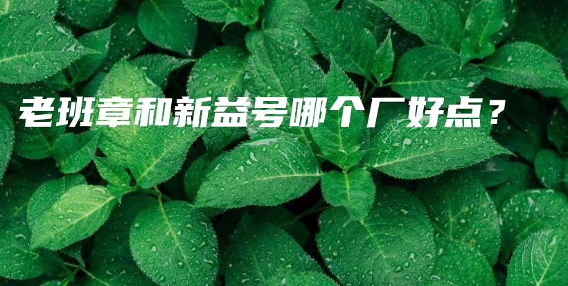 老班章和新益号哪个厂好点？插图