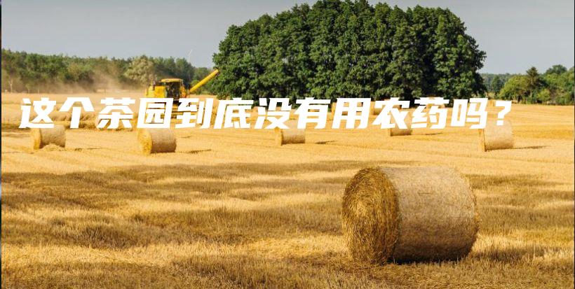 这个茶园到底没有用农药吗？插图