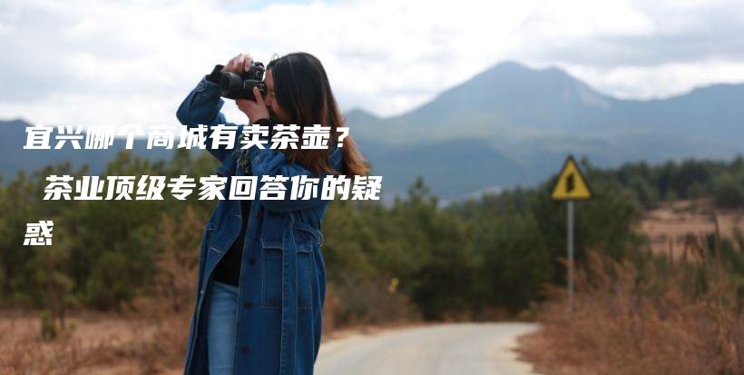 宜兴哪个商城有卖茶壶？  茶业顶级专家回答你的疑惑插图