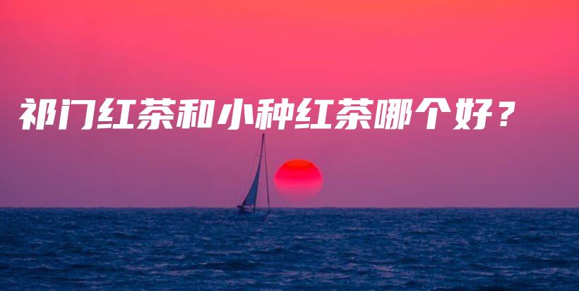祁门红茶和小种红茶哪个好？插图