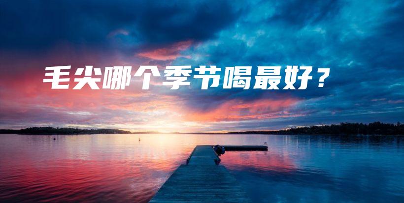 毛尖哪个季节喝最好?插图 毛尖哪个季节喝最好?插图