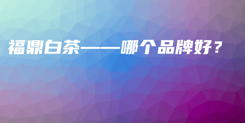 福鼎白茶——哪个品牌好？插图