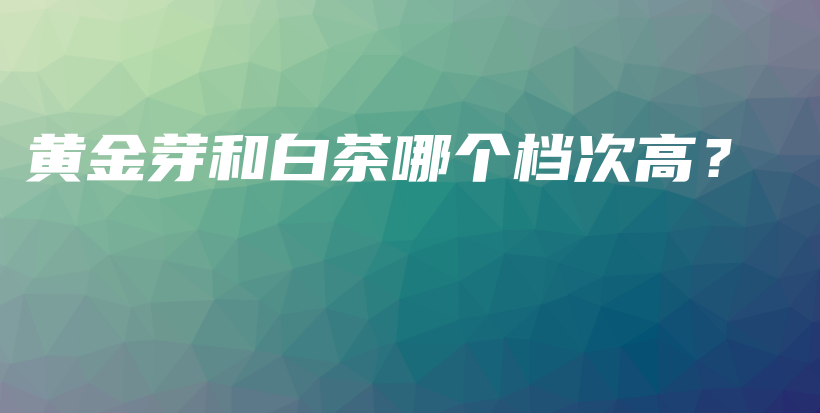 黄金芽和白茶哪个档次高？插图