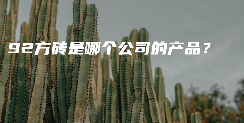92方砖是哪个公司的产品？插图