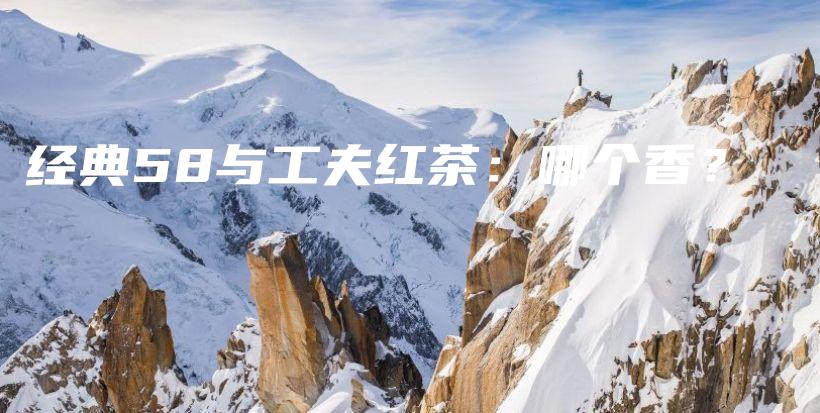 经典58与工夫红茶:哪个香?插图 经典58与工夫红茶:哪个香?插图