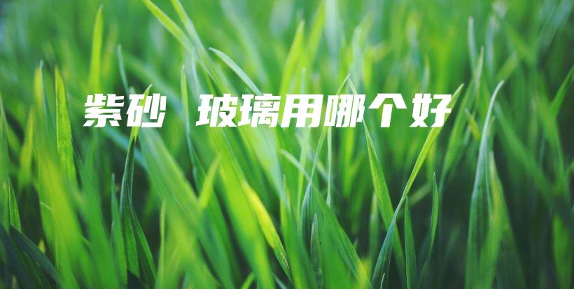 紫砂 玻璃用哪个好插图