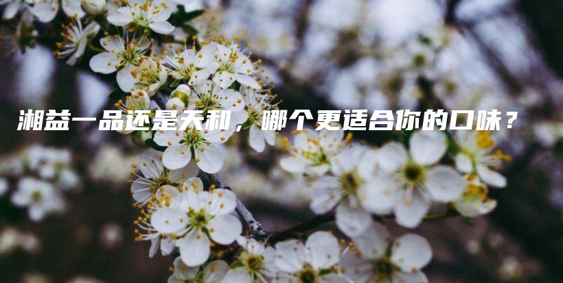 湘益一品还是天和，哪个更适合你的口味？插图