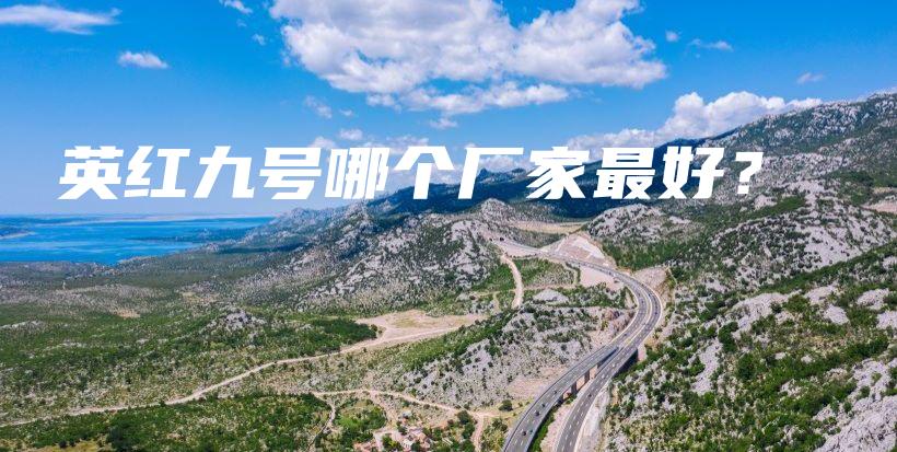 英红九号哪个厂家最好？插图