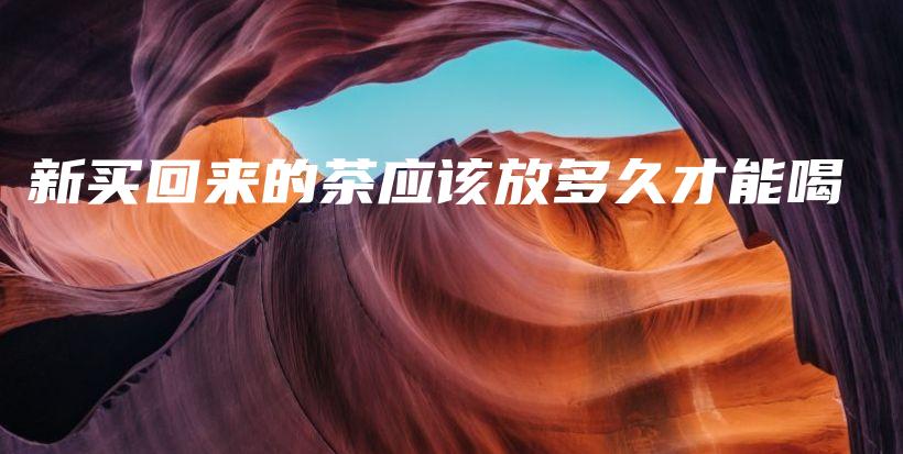 新买回来的茶应该放多久才能喝插图 新买回来的茶应该放多久才能喝插图
