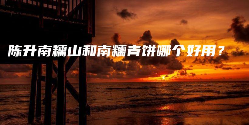 陈升南糯山和南糯青饼哪个好用？插图