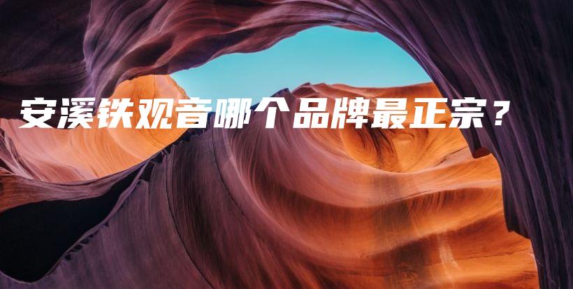 安溪铁观音哪个品牌最正宗？插图