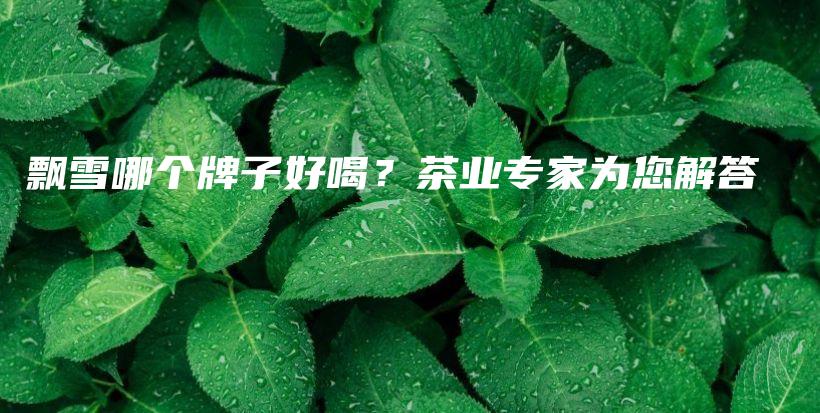 飘雪哪个牌子好喝？茶业专家为您解答插图