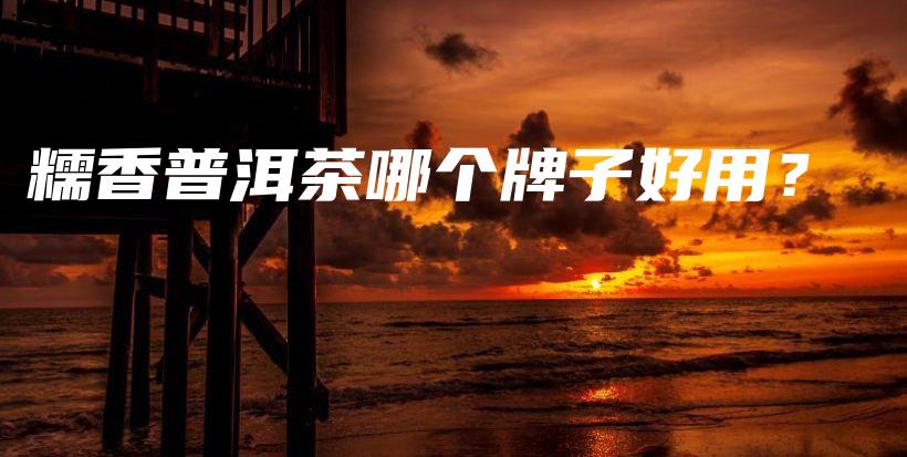 糯香普洱茶哪个牌子好用？插图