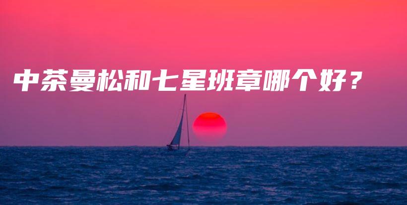 中茶曼松和七星班章哪个好？插图
