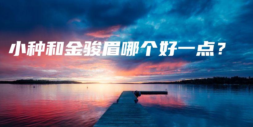 小种和金骏眉哪个好一点？插图