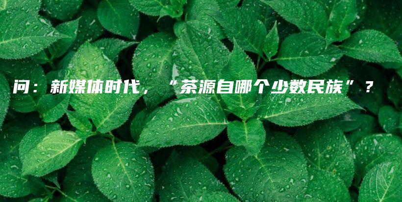 问：新媒体时代，“茶源自哪个少数民族”？插图