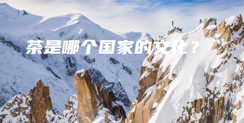 茶是哪个国家的文化？插图