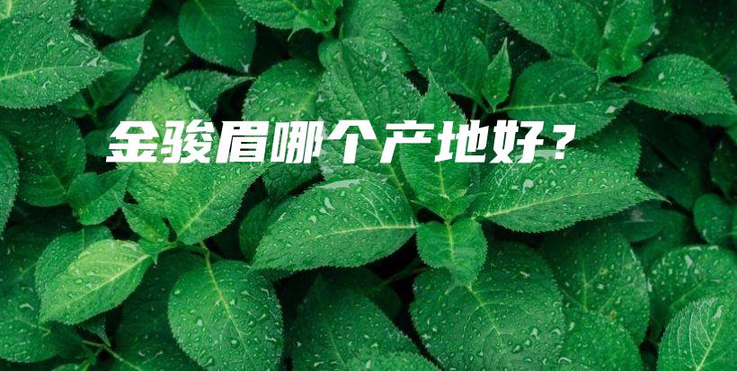 金骏眉哪个产地好？插图