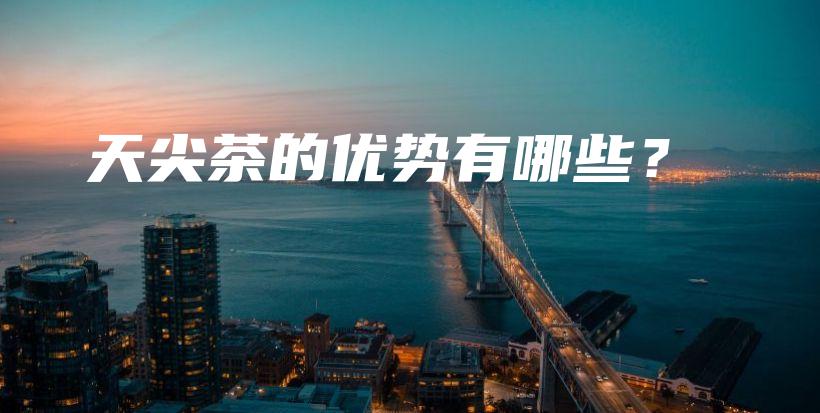 天尖茶的优势有哪些？插图