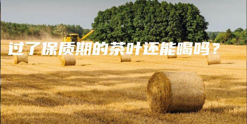 过了保质期的茶叶还能喝吗?插图 过了保质期的茶叶还能喝吗?插图